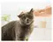 Машинка для груминга Pawbby Pet Small Area Clippers (MG-FP001A-EU) белая